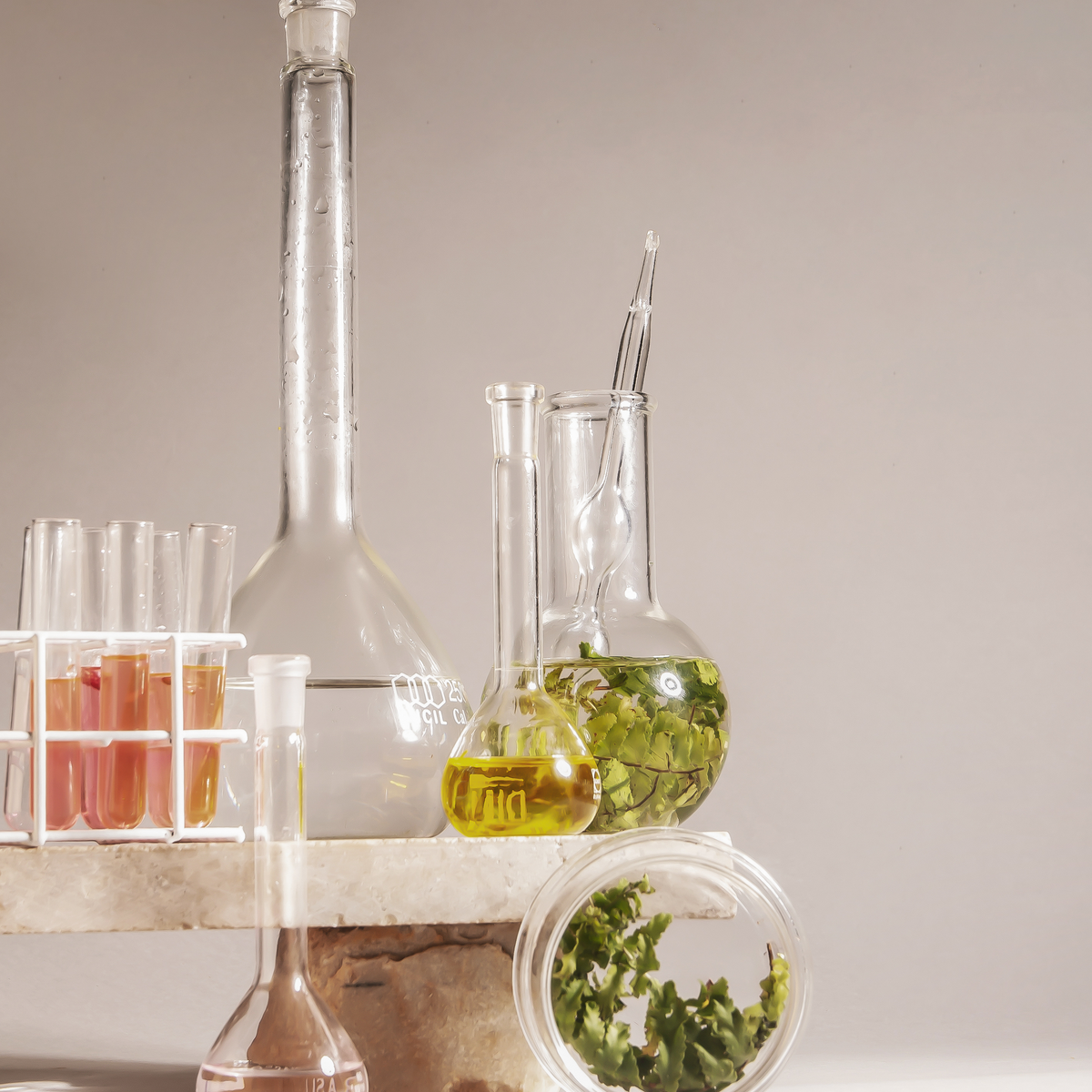 Kit Desodorante spray + 2 refis