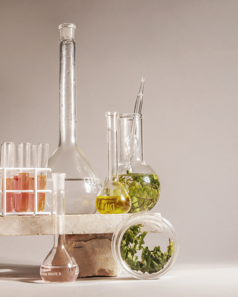 Kit Desodorante spray + 2 refis